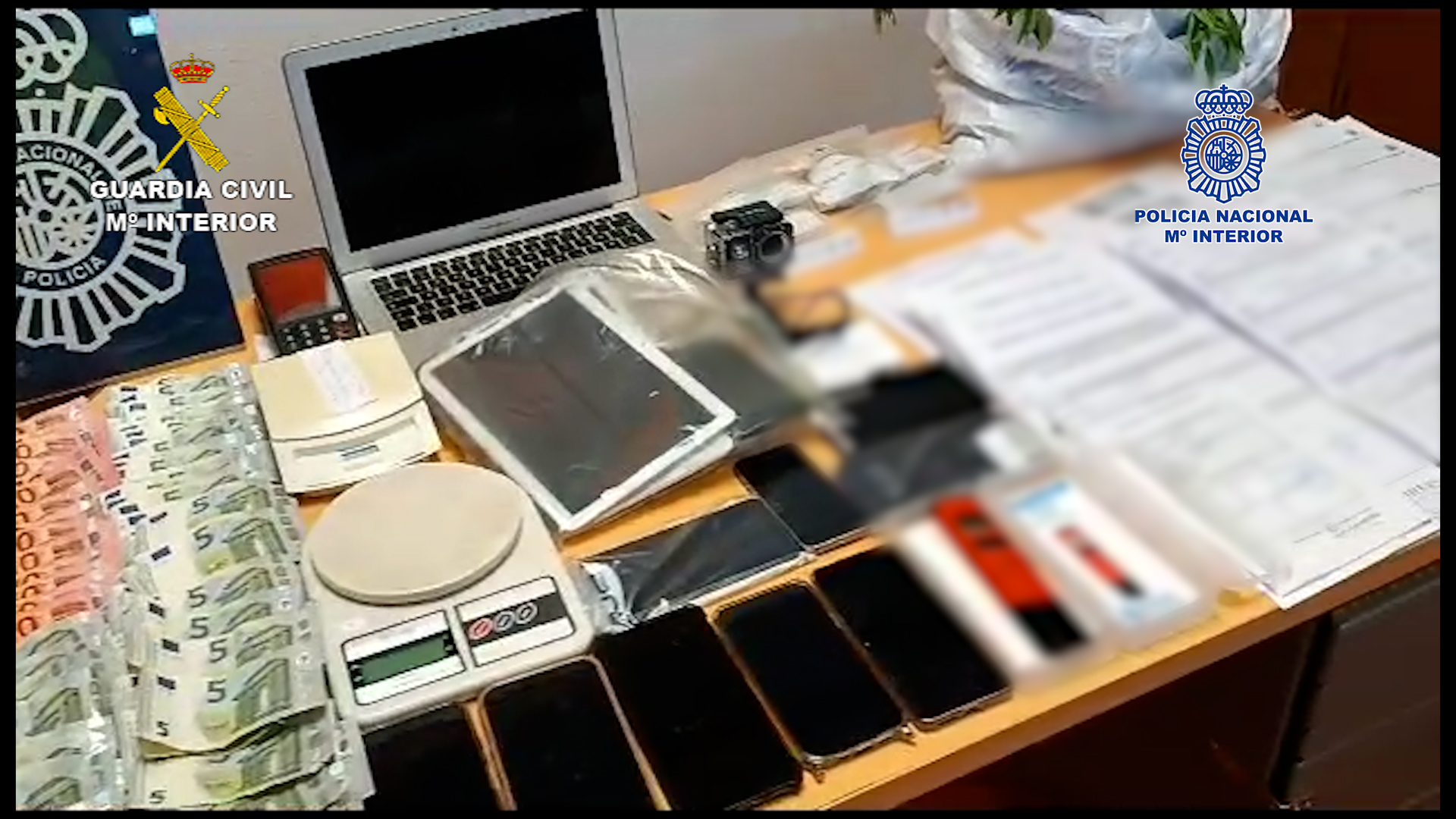 Imagen De Cae Una Organización Criminal Dedicada A La Obtención Fraudulenta De Permisos De Conducir 3 Permisos De Conducir