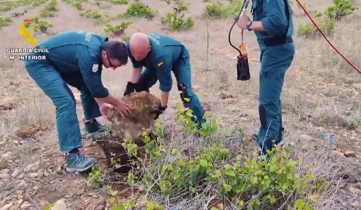 Imagen De Descubren Huesos Humanos En El Pozo De Manzanares Donde Se Ha Estado Buscando A Jesús González Borrajo 2 Pozo De La Finca En Manzanares