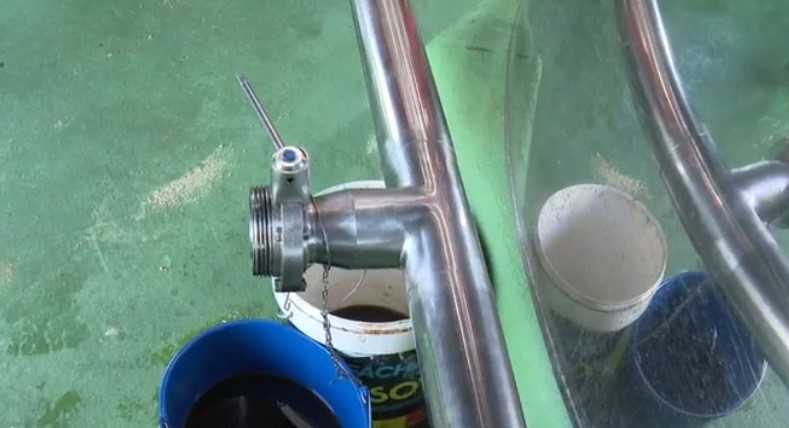 Imagen De Segundo Robo De Aceite De Oliva De Alta Calidad En Una Semana En Andalucía 2 Screenshot 26 1