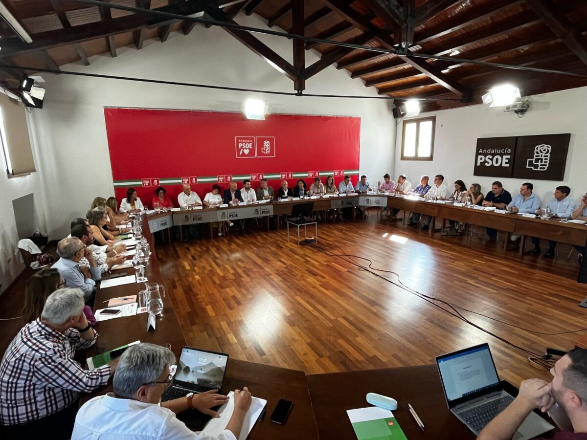 Psoe Andalucía Juan Espadas Comisión Ejecutiva Regional