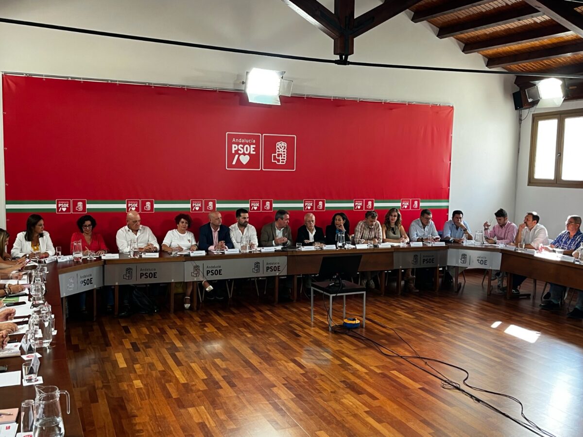 Psoe Andalucía Juan Espadas Comisión Ejecutiva Regional