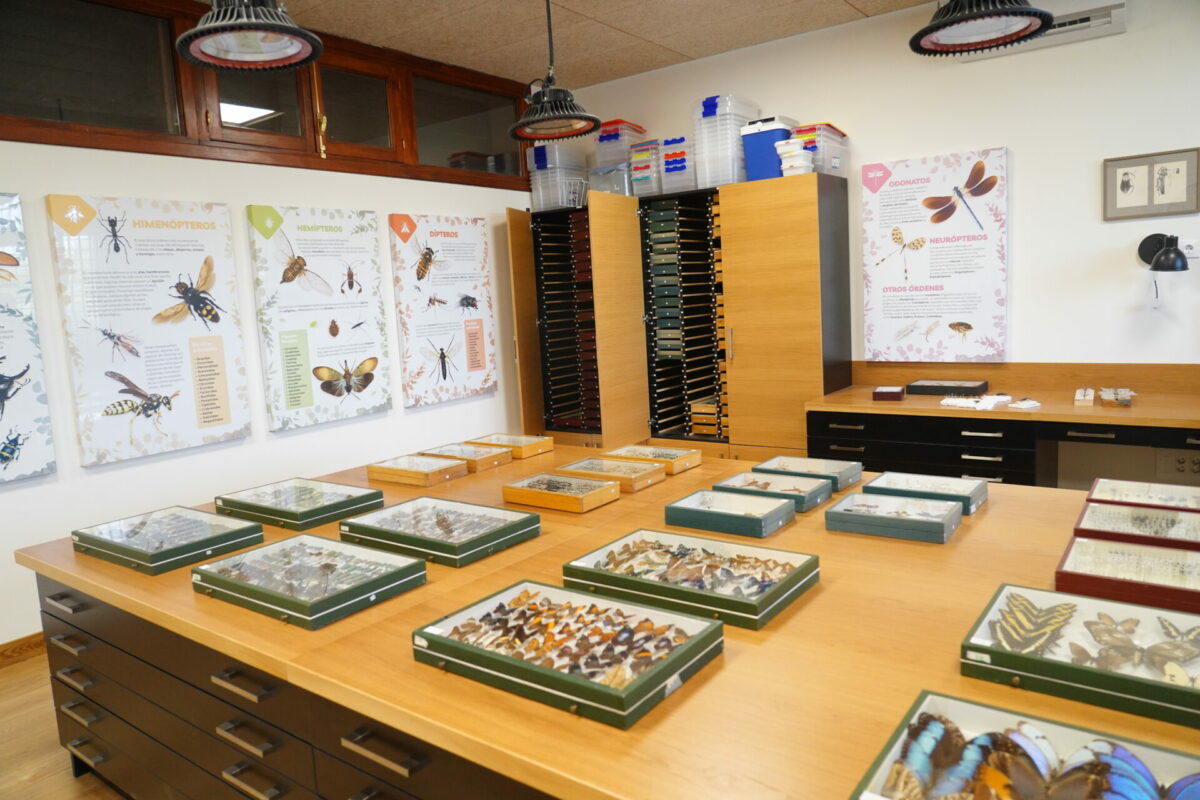 La Sala De Entomologia Dispone De Todo Lo Necesario Para Preservar Adecuadamente Los Ejemplares