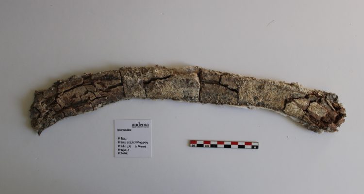 Imagen De Sorprendente Hallazgo De Elefantes Prehistóricos En Madrid 2 Madrid