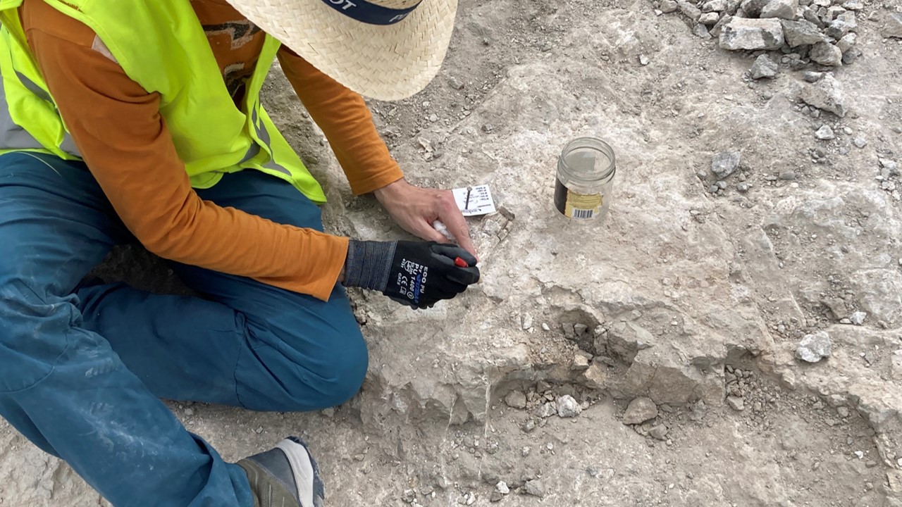 Imagen De Sorprendente Hallazgo De Elefantes Prehistóricos En Madrid 1 Madrid