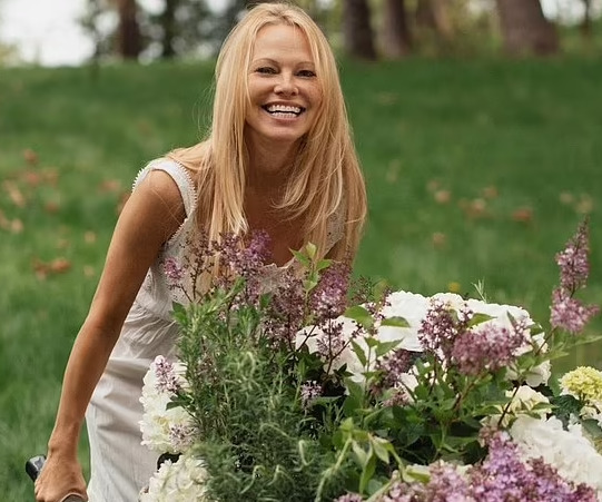 Imagen De Pamela Anderson, Por Qué Se Decanta Por La Belleza Natural, Sin Maquillaje A Sus 56 Años 1 Imagen 2 4