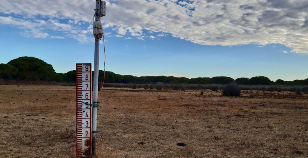 Doñana Huelva Andalucía sequía
