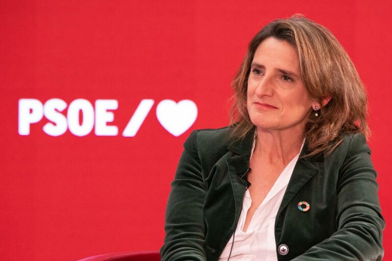 Teresa Ribera, candidata del PSOE para las elecciones europeas