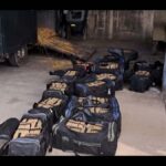 Desarticulada una organización criminal que utilizaba vehículos de transporte de caballos para traficar con droga desde Melilla a Europa
